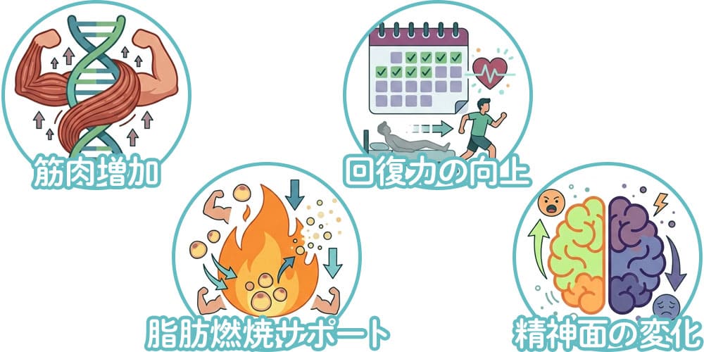 アナボリックステロイドの効果画像