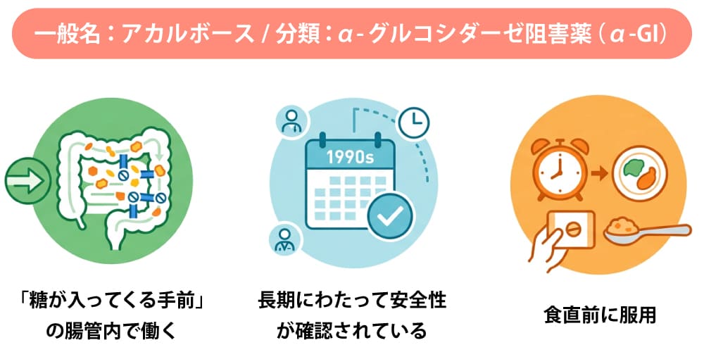 グルコバイとはどんな薬?