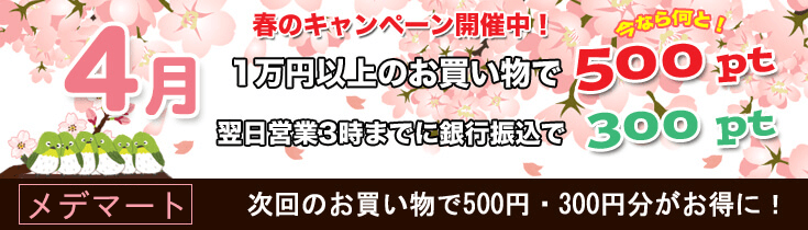 キャンペーン