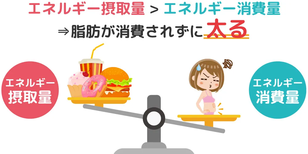 太るメカニズム画像