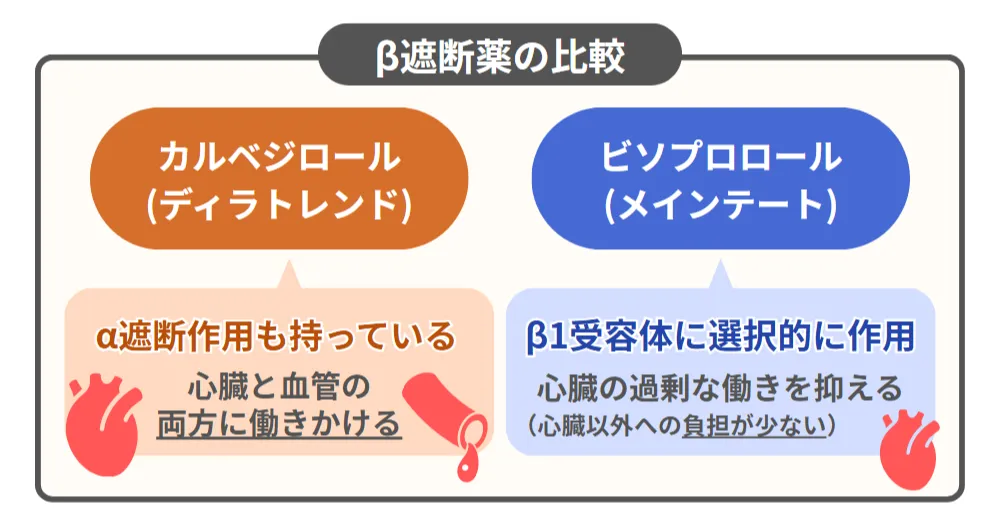 他β阻害薬との比較（カルベジロールとビソプロロール）画像