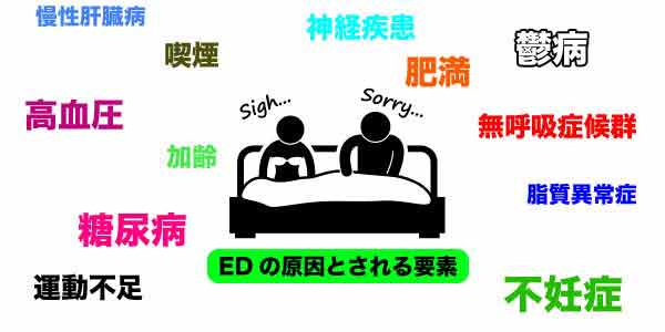 ED(勃起不全)の原因について