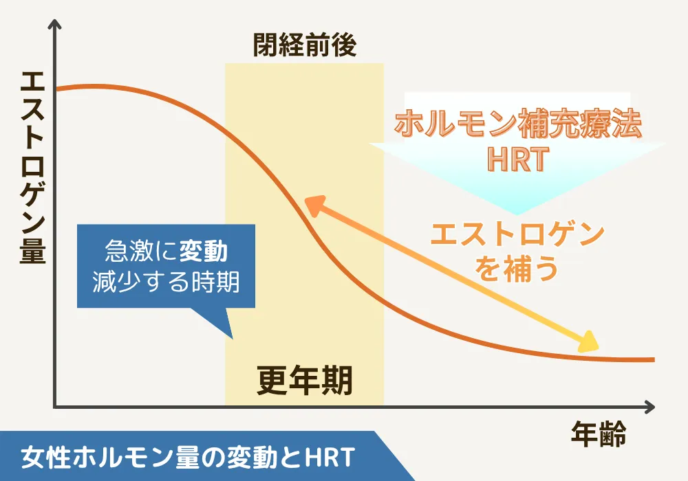 女性ホルモンの量の変動とホルモン補充療法（HRT）についての画像