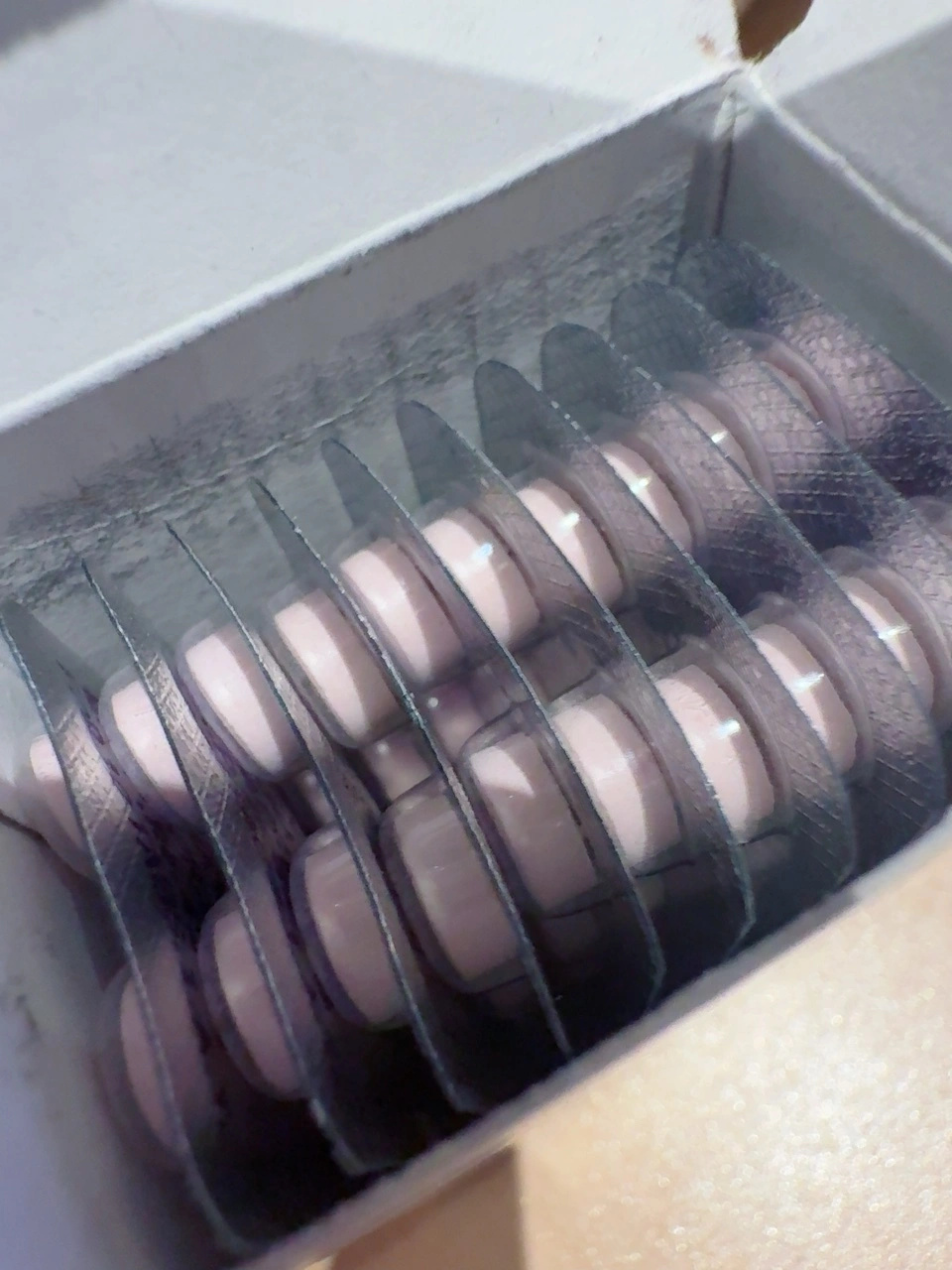 バスピン高評価のレビュー画像