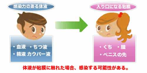 性感染症について
