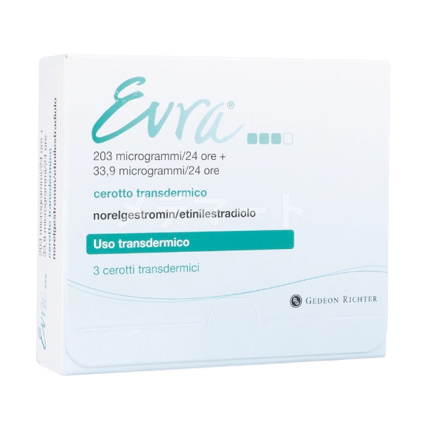 エブラ画像 3枚目