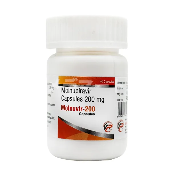 モルヌビル画像 3枚目