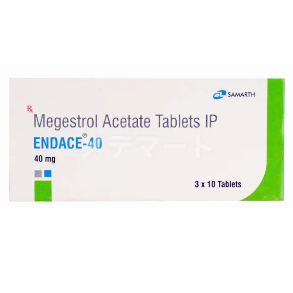 エンデースサムネイル 2枚目